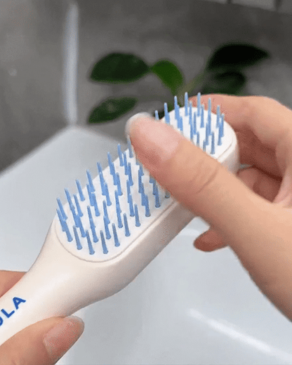 Self Cleaning Brush