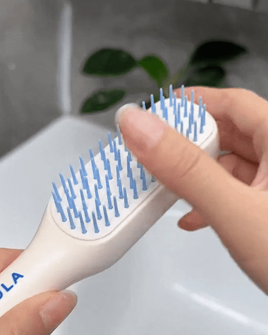 Self Cleaning Brush